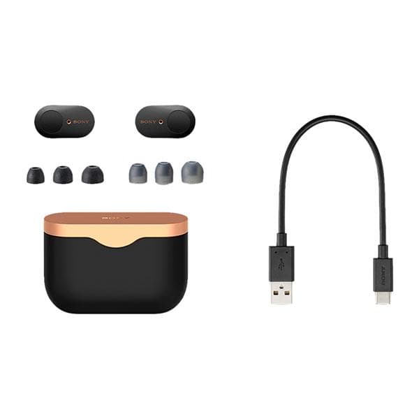 Sony WF-1000XM3/B Bluetooth Truly Wireless in Ear Earbuds with mic Black