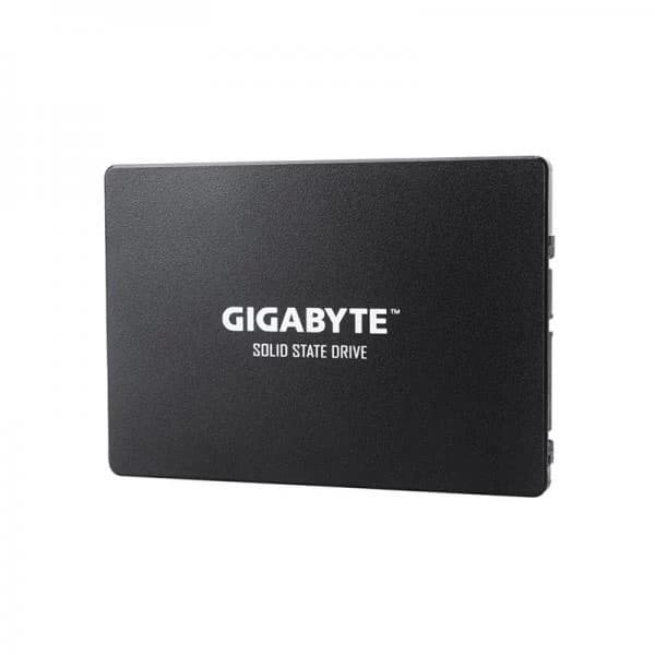 Gigabyte 256 GB Sata Internal Solid State Drive