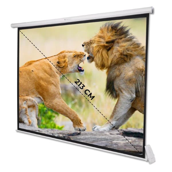 Zebronics PSM84A 84" Motorised Projector Screen